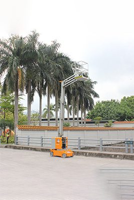 Self-propelled Mast Type Crankshaft Aerial Work Platform